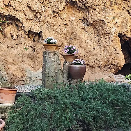 Ostello Estudio El Tosca