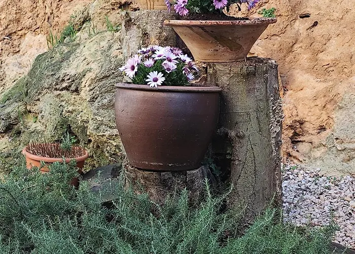 Ostello Estudio El Tosca *